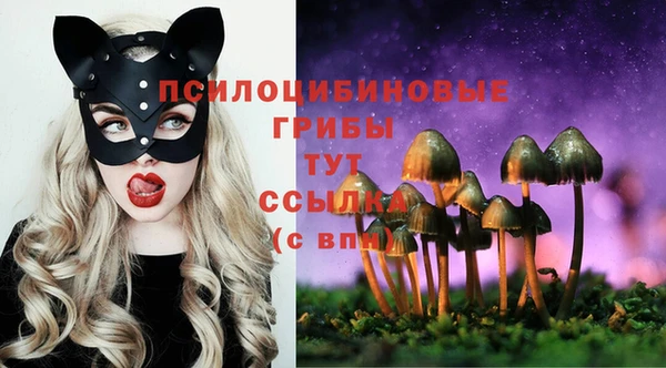 мет Балахна