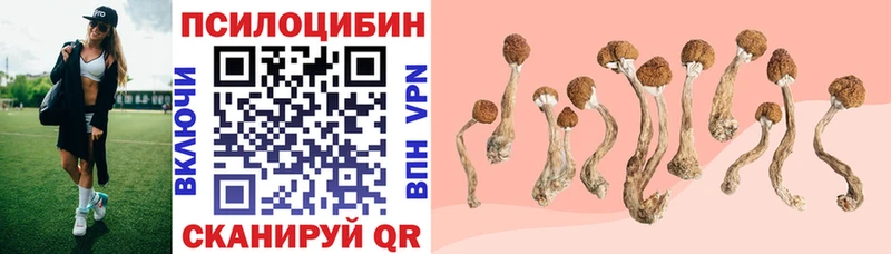 OMG зеркало Окуловка Псилоцибиновые грибы мухоморы